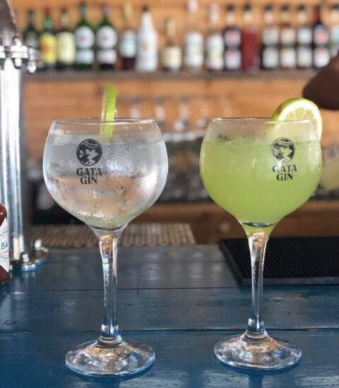 colonel beer, cocktails