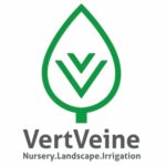 Vert Veine