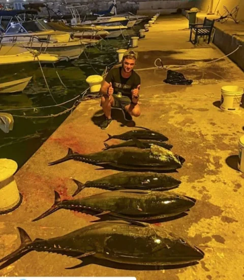 Abou Rachid Tuna Fishing