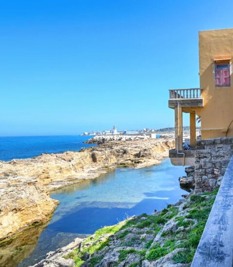 Sea Salt Guesthouse, Terrace