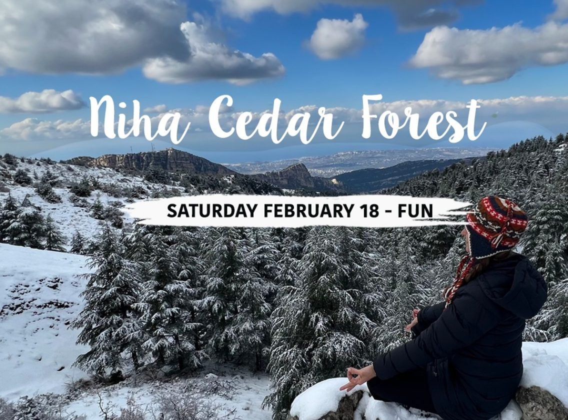 NIHA Cedar Forest