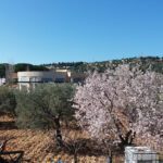 Centre Du Rond Point Jrane