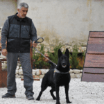 Les Gardiens de L'Orient