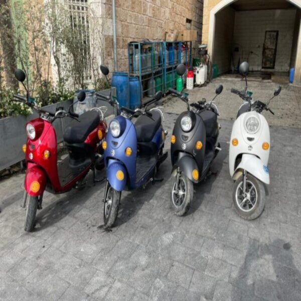 Go Rental Electric Motorcycle 1 Day Rental › Go Batroun