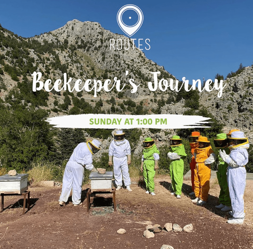 Beekeeper Journey with Routes