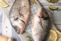 Samak Express, image of two fish with lime