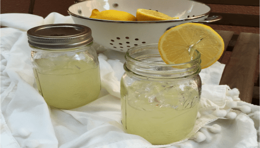 Cup of Lemonade with citrus