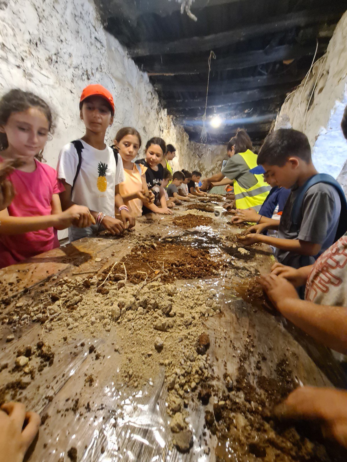 Kids Package: Seed Bomb and Eco Awareness