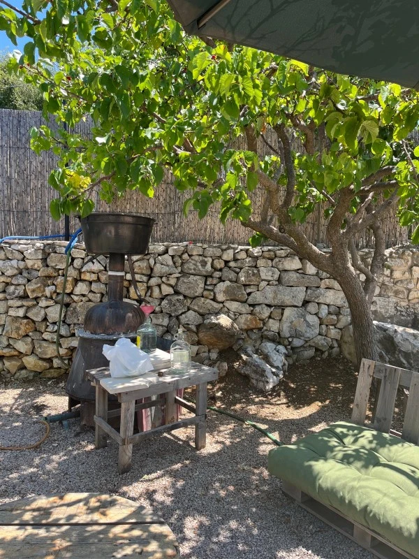 Living Traditions - Villages, Crafts & Cuisine