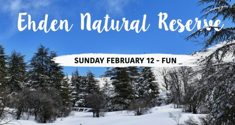 Horsh Ehden Nature Reserve