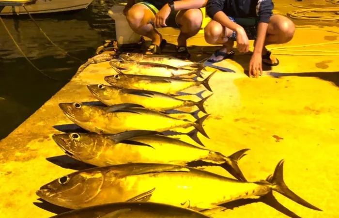 Abou Rachid Tuna Fishing