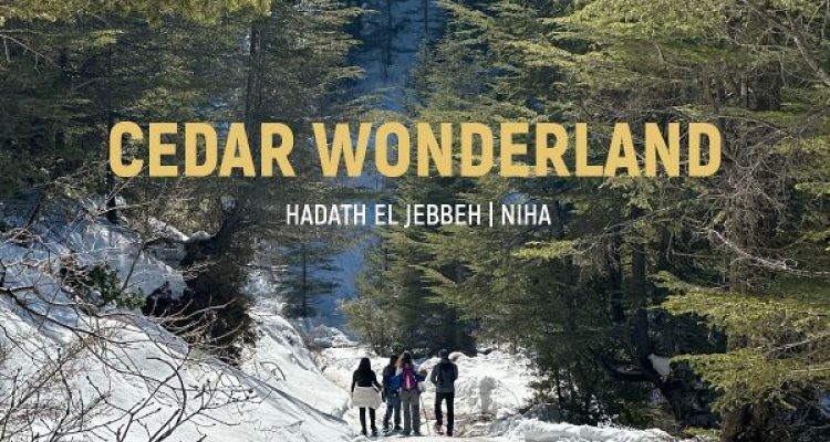 December 1st Event with Routes Snow Hike