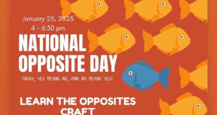 January 25 at Dream Ville Batroun