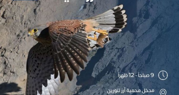 November 16 event at Tannourine Cedars Reserve