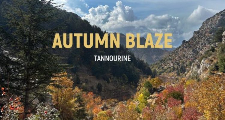 November 17 Hiking Event with Routes