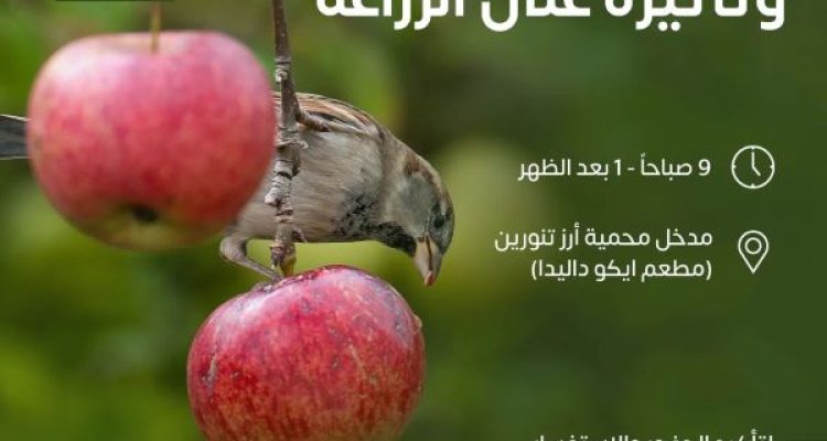 October 26 at Tannourine Cedars Reserve