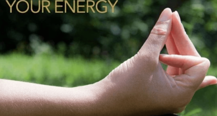 Triambhakeshwari Courses at Darma Ji