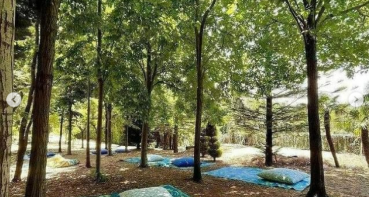 International Yoga Day