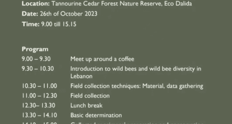 Wild Bees of Lebanon