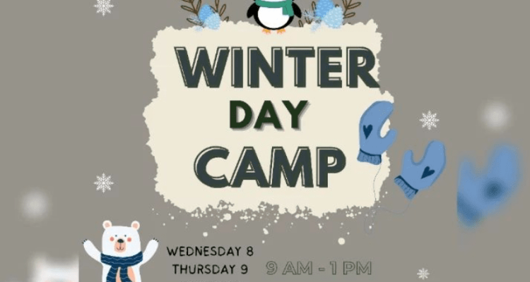Winter day camp at Dream Ville
