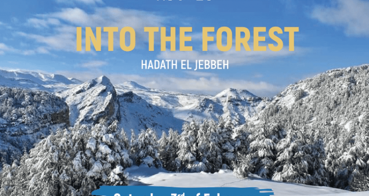 Into tho Forest with Routes