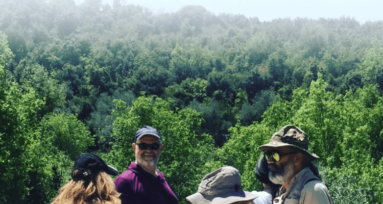 Learn about Local wild Herbs and their Multiple Benefits