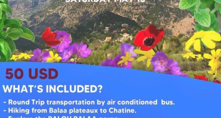 Escape to the charming village of Chatine with Snounou