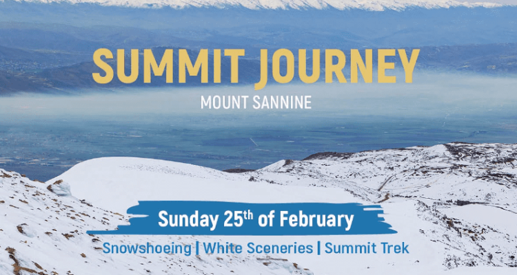 Summit Journey with Routes