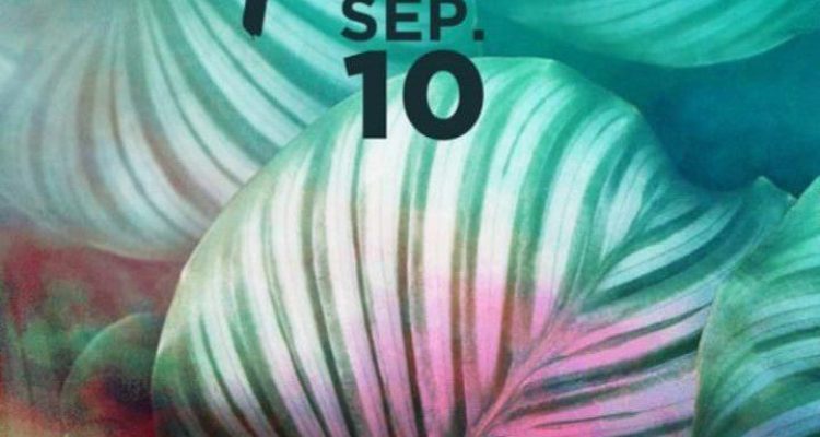 Atecco's at Casa Cartel