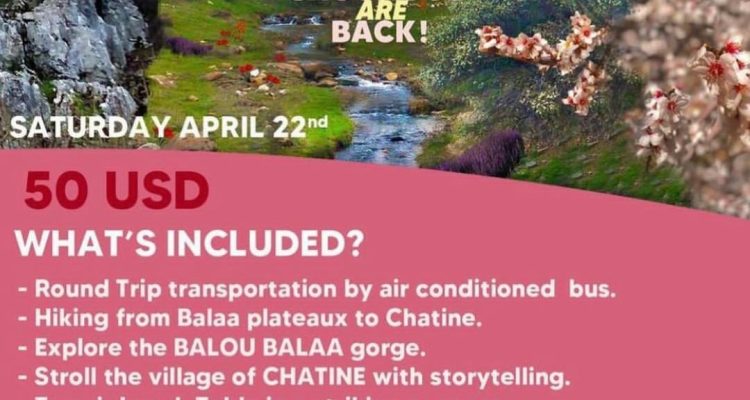 Chatine Snounous are Back