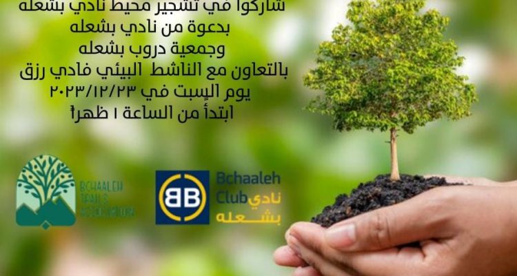 شاركوا في تشجير محيط نادي بشعله